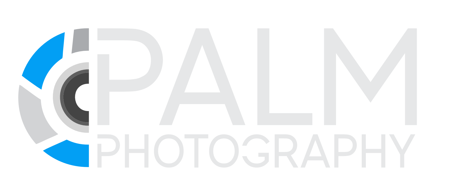 Palm Photography